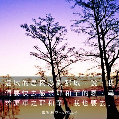 Picture 03 - 撒 迦 利 亞 8:21 CUVT - 這 城 的 居 民 必 到 那 城 ， 說 ： - Bible Verse Picture