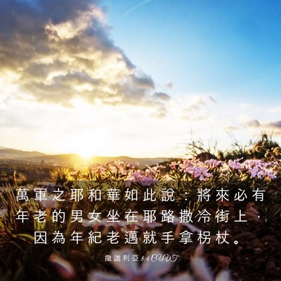Picture 03 - 撒 迦 利 亞 8:4 CUVT - 萬 軍 之 耶 和 華 如 此 說 ： 將 來 - Bible Verse Picture