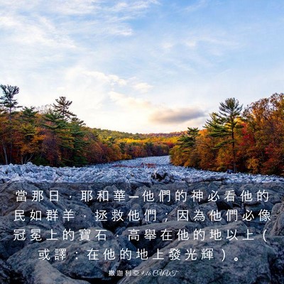 Picture 03 - 撒 迦 利 亞 9:16 CUVT - 當 那 日 ， 耶 和 華 ─ 他 們 的 神 - Bible Verse Picture