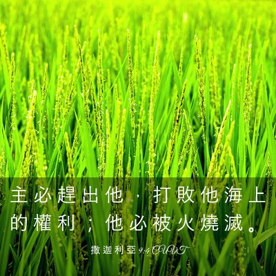 Picture 03 - 撒 迦 利 亞 9:4 CUVT - 主 必 趕 出 他 ， 打 敗 他 海 上 的 - Bible Verse Picture
