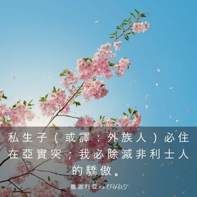 Picture 03 - 撒 迦 利 亞 9:6 CUVT - 私 生 子 （ 或 譯 ： 外 族 人 ） 必 - Bible Verse Picture