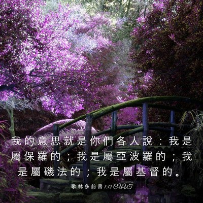 Picture 03 - 歌 林 多 前 書 1:12 CUVT - 我 的 意 思 就 是 你 們 各 人 說 ： - Bible Verse Picture