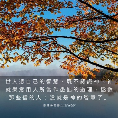 Picture 03 - 歌 林 多 前 書 1:21 CUVT - 世 人 憑 自 己 的 智 慧 ， 既 不 認 - Bible Verse Picture