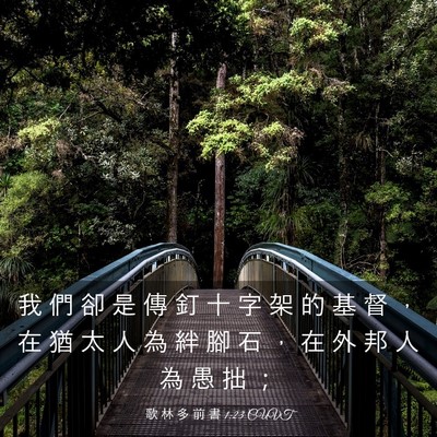 Picture 03 - 歌 林 多 前 書 1:23 CUVT - 我 們 卻 是 傳 釘 十 字 架 的 基 督 - Bible Verse Picture