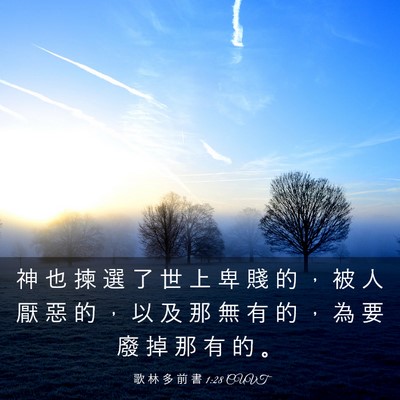 Picture 03 - 歌 林 多 前 書 1:28 CUVT - 神 也 揀 選 了 世 上 卑 賤 的 ， 被 - Bible Verse Picture