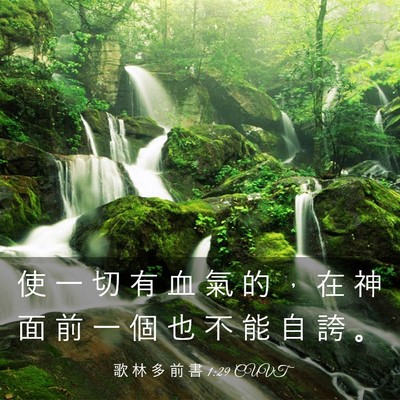 Picture 03 - 歌 林 多 前 書 1:29 CUVT - 使 一 切 有 血 氣 的 ， 在 神 面 前 - Bible Verse Picture