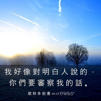 Picture 03 - 歌 林 多 前 書 10:15 CUVT - 我 好 像 對 明 白 人 說 的 ， 你 們 - Bible Verse Picture