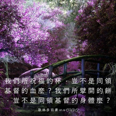 Picture 03 - 歌 林 多 前 書 10:16 CUVT - 我 們 所 祝 福 的 杯 ， 豈 不 是 同 - Bible Verse Picture