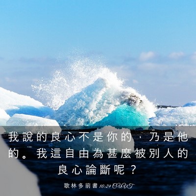 Picture 03 - 歌 林 多 前 書 10:29 CUVT - 我 說 的 良 心 不 是 你 的 ， 乃 是 - Bible Verse Picture