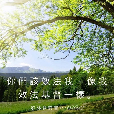 Picture 03 - 歌 林 多 前 書 11:1 CUVT - 你 們 該 效 法 我 ， 像 我 效 法 基 - Bible Verse Picture