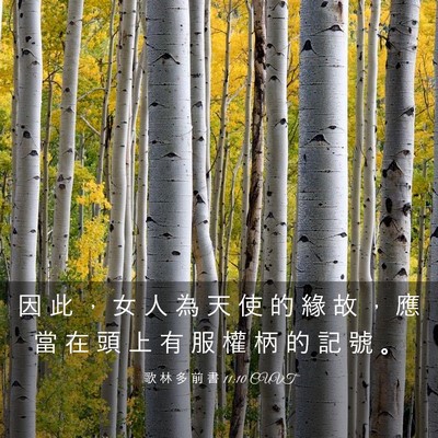 Picture 03 - 歌 林 多 前 書 11:10 CUVT - 因 此 ， 女 人 為 天 使 的 緣 故 ， - Bible Verse Picture