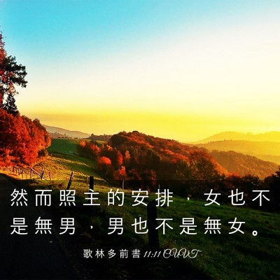 Picture 03 - 歌 林 多 前 書 11:11 CUVT - 然 而 照 主 的 安 排 ， 女 也 不 是 - Bible Verse Picture