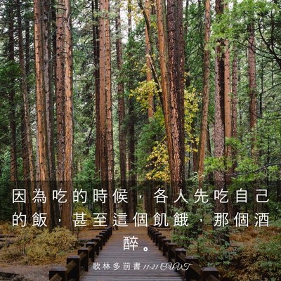 Picture 03 - 歌 林 多 前 書 11:21 CUVT - 因 為 吃 的 時 候 ， 各 人 先 吃 自 - Bible Verse Picture