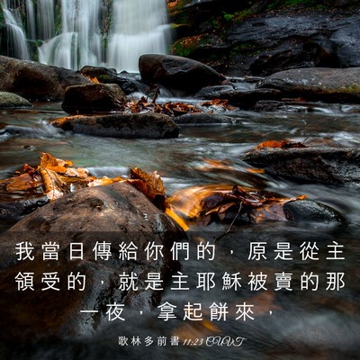 Picture 03 - 歌 林 多 前 書 11:23 CUVT - 我 當 日 傳 給 你 們 的 ， 原 是 從 - Bible Verse Picture
