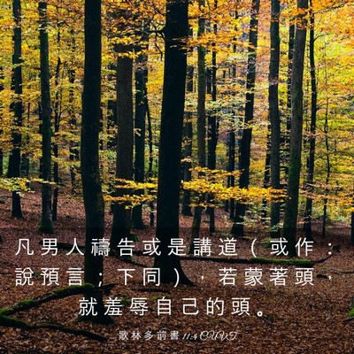 Picture 03 - 歌 林 多 前 書 11:4 CUVT - 凡 男 人 禱 告 或 是 講 道 （ 或 作 - Bible Verse Picture