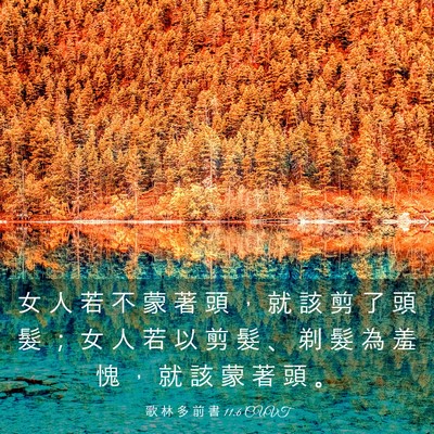 Picture 03 - 歌 林 多 前 書 11:6 CUVT - 女 人 若 不 蒙 著 頭 ， 就 該 剪 了 - Bible Verse Picture