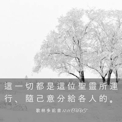 Picture 03 - 歌 林 多 前 書 12:11 CUVT - 這 一 切 都 是 這 位 聖 靈 所 運 行 - Bible Verse Picture