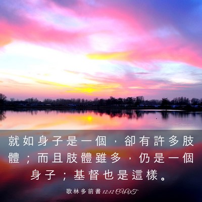 Picture 03 - 歌 林 多 前 書 12:12 CUVT - 就 如 身 子 是 一 個 ， 卻 有 許 多 - Bible Verse Picture