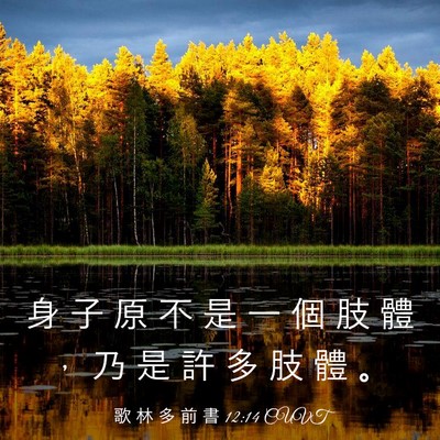 Picture 03 - 歌 林 多 前 書 12:14 CUVT - 身 子 原 不 是 一 個 肢 體 ， 乃 是 - Bible Verse Picture