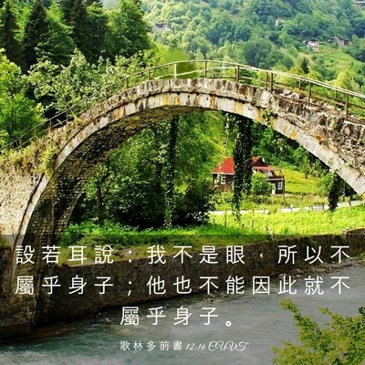 Picture 03 - 歌 林 多 前 書 12:16 CUVT - 設 若 耳 說 ： 我 不 是 眼 ， 所 以 - Bible Verse Picture