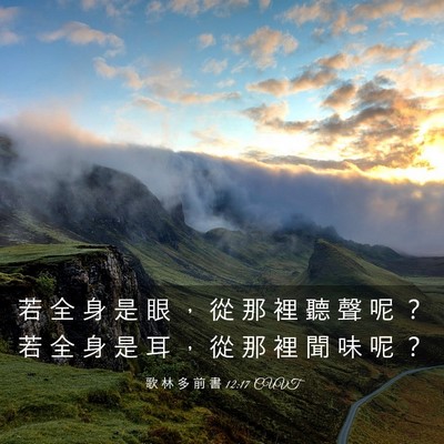 Picture 03 - 歌 林 多 前 書 12:17 CUVT - 若 全 身 是 眼 ， 從 那 裡 聽 聲 呢 - Bible Verse Picture