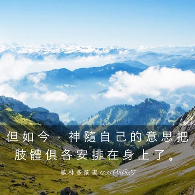 Picture 03 - 歌 林 多 前 書 12:18 CUVT - 但 如 今 ， 神 隨 自 己 的 意 思 把 - Bible Verse Picture