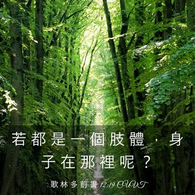 Picture 03 - 歌 林 多 前 書 12:19 CUVT - 若 都 是 一 個 肢 體 ， 身 子 在 那 - Bible Verse Picture