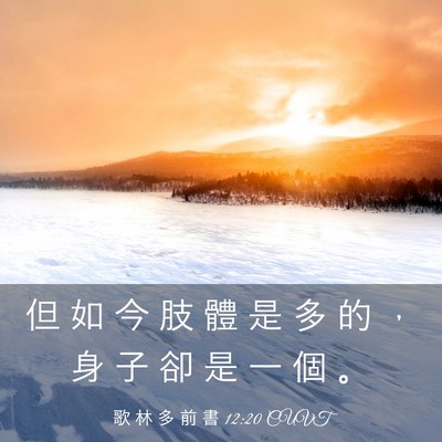 Picture 03 - 歌 林 多 前 書 12:20 CUVT - 但 如 今 肢 體 是 多 的 ， 身 子 卻 - Bible Verse Picture