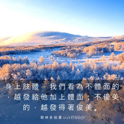Picture 03 - 歌 林 多 前 書 12:23 CUVT - 身 上 肢 體 ， 我 們 看 為 不 體 面 - Bible Verse Picture