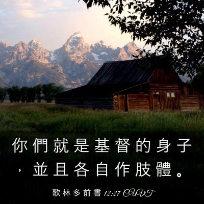 Picture 03 - 歌 林 多 前 書 12:27 CUVT - 你 們 就 是 基 督 的 身 子 ， 並 且 - Bible Verse Picture