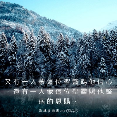 Picture 03 - 歌 林 多 前 書 12:9 CUVT - 又 有 一 人 蒙 這 位 聖 靈 賜 他 信 - Bible Verse Picture