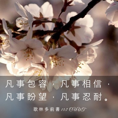 Picture 03 - 歌 林 多 前 書 13:7 CUVT - 凡 事 包 容 ， 凡 事 相 信 ， 凡 事 - Bible Verse Picture