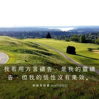 Picture 03 - 歌 林 多 前 書 14:14 CUVT - 我 若 用 方 言 禱 告 ， 是 我 的 靈 - Bible Verse Picture