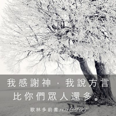 Picture 03 - 歌 林 多 前 書 14:18 CUVT - 我 感 謝 神 ， 我 說 方 言 比 你 們 - Bible Verse Picture