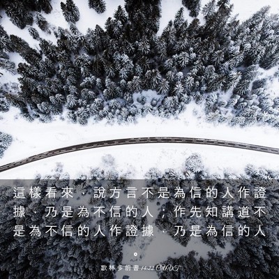 Picture 03 - 歌 林 多 前 書 14:22 CUVT - 這 樣 看 來 ， 說 方 言 不 是 為 信 - Bible Verse Picture