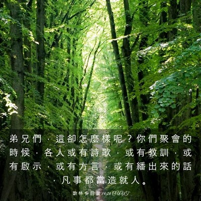 Picture 03 - 歌 林 多 前 書 14:26 CUVT - 弟 兄 們 ， 這 卻 怎 麼 樣 呢 ？ 你 - Bible Verse Picture