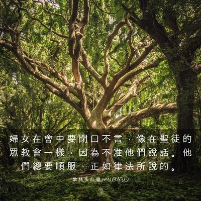 Picture 03 - 歌 林 多 前 書 14:34 CUVT - 婦 女 在 會 中 要 閉 口 不 言 ， 像 - Bible Verse Picture