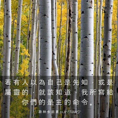 Picture 03 - 歌 林 多 前 書 14:37 CUVT - 若 有 人 以 為 自 己 是 先 知 ， 或 - Bible Verse Picture