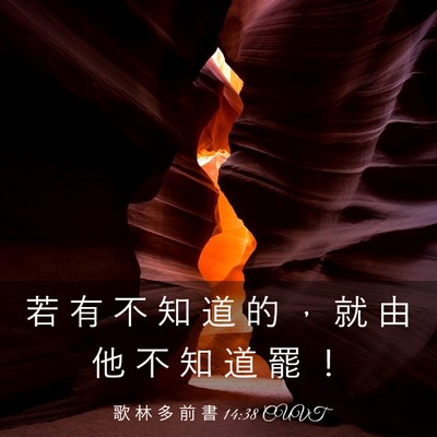 Picture 03 - 歌 林 多 前 書 14:38 CUVT - 若 有 不 知 道 的 ， 就 由 他 不 知 - Bible Verse Picture