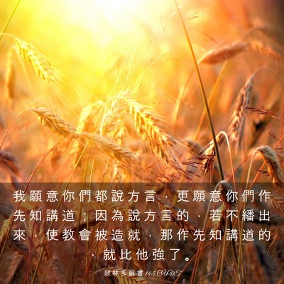 Picture 03 - 歌 林 多 前 書 14:5 CUVT - 我 願 意 你 們 都 說 方 言 ， 更 願 - Bible Verse Picture