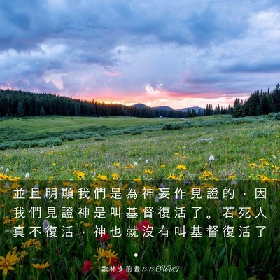 Picture 03 - 歌 林 多 前 書 15:15 CUVT - 並 且 明 顯 我 們 是 為 神 妄 作 見 - Bible Verse Picture