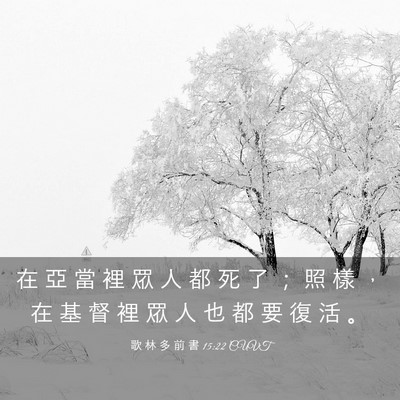 Picture 03 - 歌 林 多 前 書 15:22 CUVT - 在 亞 當 裡 眾 人 都 死 了 ； 照 樣 - Bible Verse Picture