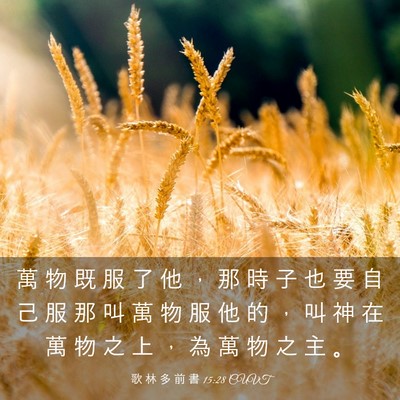 Picture 03 - 歌 林 多 前 書 15:28 CUVT - 萬 物 既 服 了 他 ， 那 時 子 也 要 - Bible Verse Picture