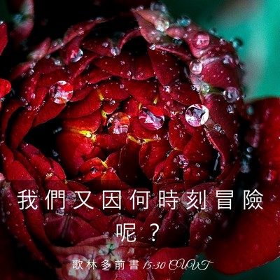 Picture 03 - 歌 林 多 前 書 15:30 CUVT - 我 們 又 因 何 時 刻 冒 險 呢 - Bible Verse Picture
