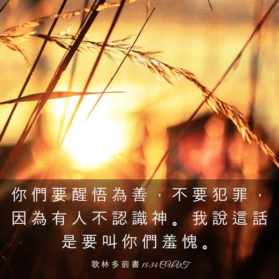 Picture 03 - 歌 林 多 前 書 15:34 CUVT - 你 們 要 醒 悟 為 善 ， 不 要 犯 罪 - Bible Verse Picture