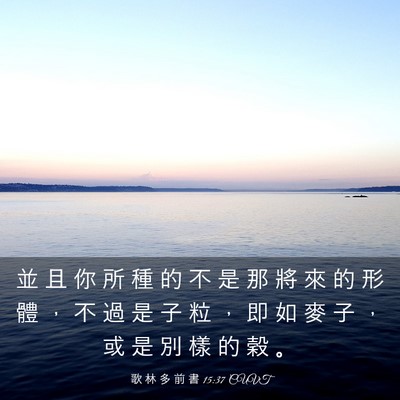 Picture 03 - 歌 林 多 前 書 15:37 CUVT - 並 且 你 所 種 的 不 是 那 將 來 的 - Bible Verse Picture