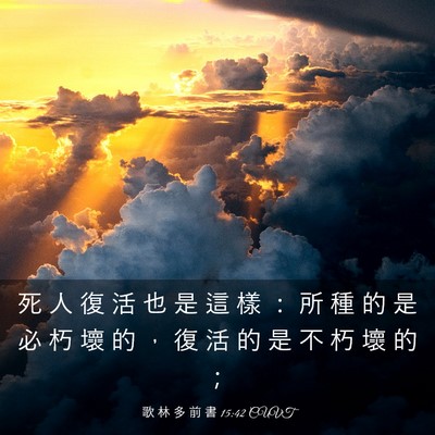 Picture 03 - 歌 林 多 前 書 15:42 CUVT - 死 人 復 活 也 是 這 樣 ： 所 種 的 - Bible Verse Picture