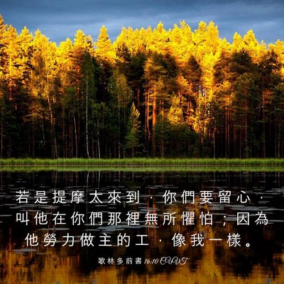 Picture 03 - 歌 林 多 前 書 16:10 CUVT - 若 是 提 摩 太 來 到 ， 你 們 要 留 - Bible Verse Picture