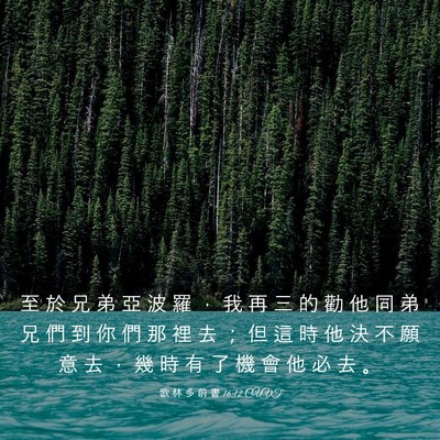 Picture 03 - 歌 林 多 前 書 16:12 CUVT - 至 於 兄 弟 亞 波 羅 ， 我 再 三 的 - Bible Verse Picture