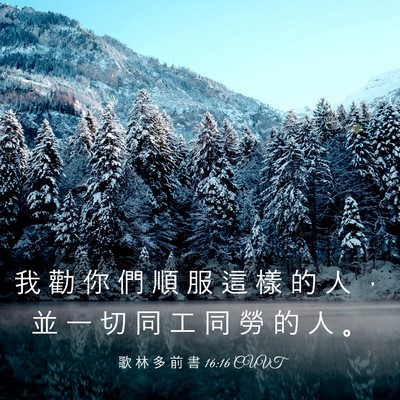 Picture 03 - 歌 林 多 前 書 16:16 CUVT - 我 勸 你 們 順 服 這 樣 的 人 ， 並 - Bible Verse Picture